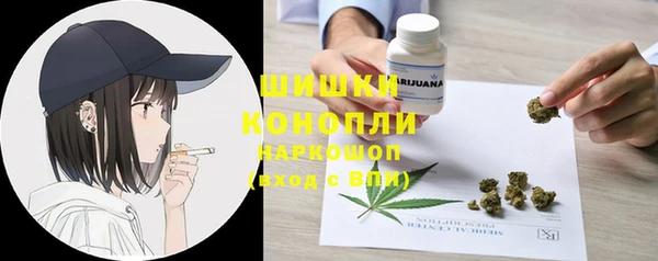 гидра Медвежьегорск