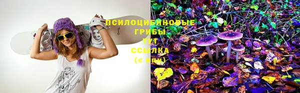 дмт Алзамай