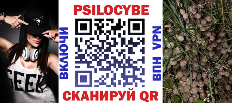 Галлюциногенные грибы ЛСД  дарнет шоп  ссылка на мегу зеркало  Фёдоровский 